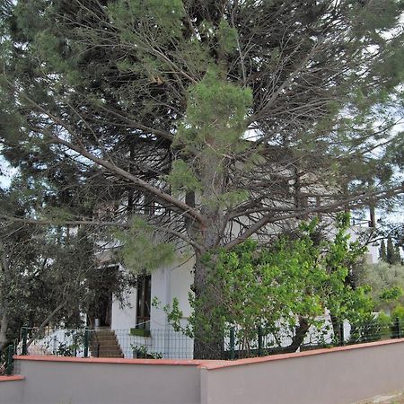 Beyaz Konak Guere Εξωτερικό φωτογραφία