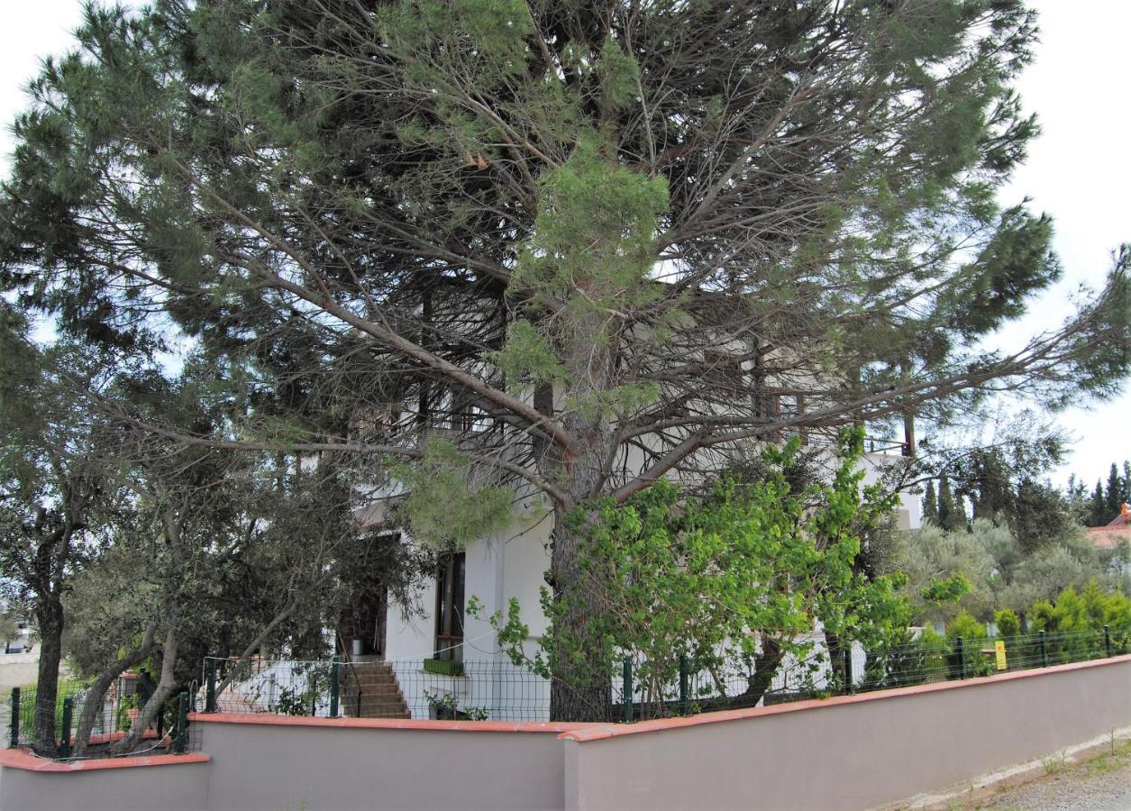 Beyaz Konak Guere Εξωτερικό φωτογραφία