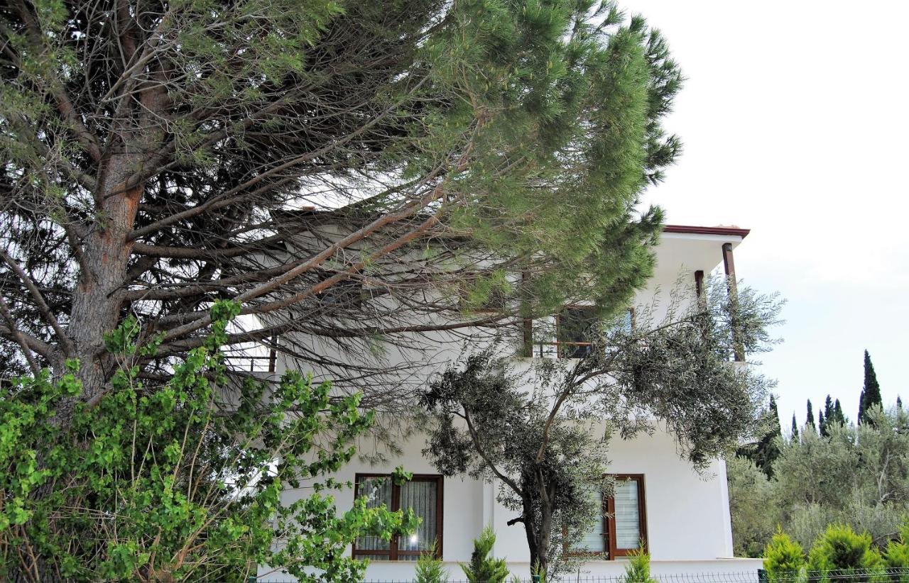 Beyaz Konak Guere Εξωτερικό φωτογραφία