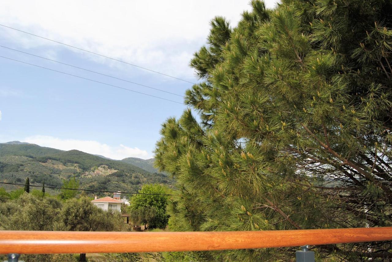 Beyaz Konak Guere Εξωτερικό φωτογραφία